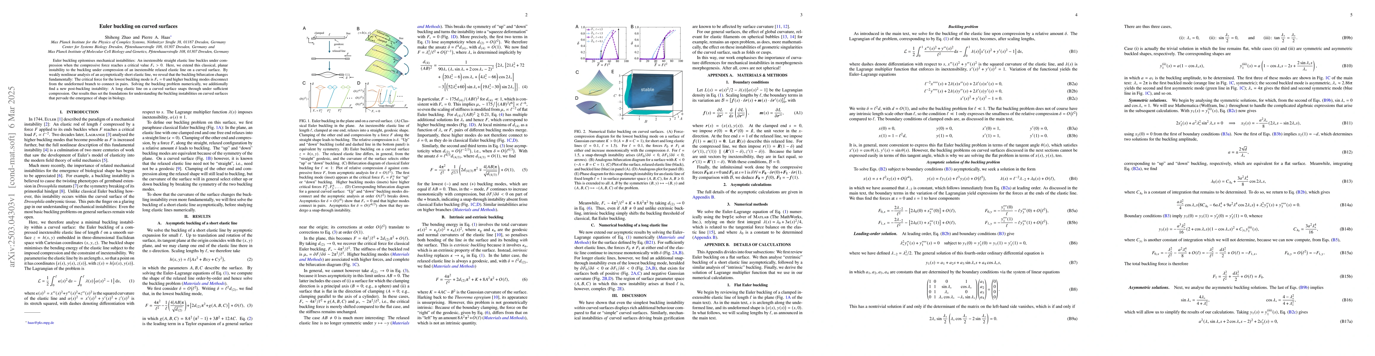 Thumbnail for Euler buckling on curved surfaces