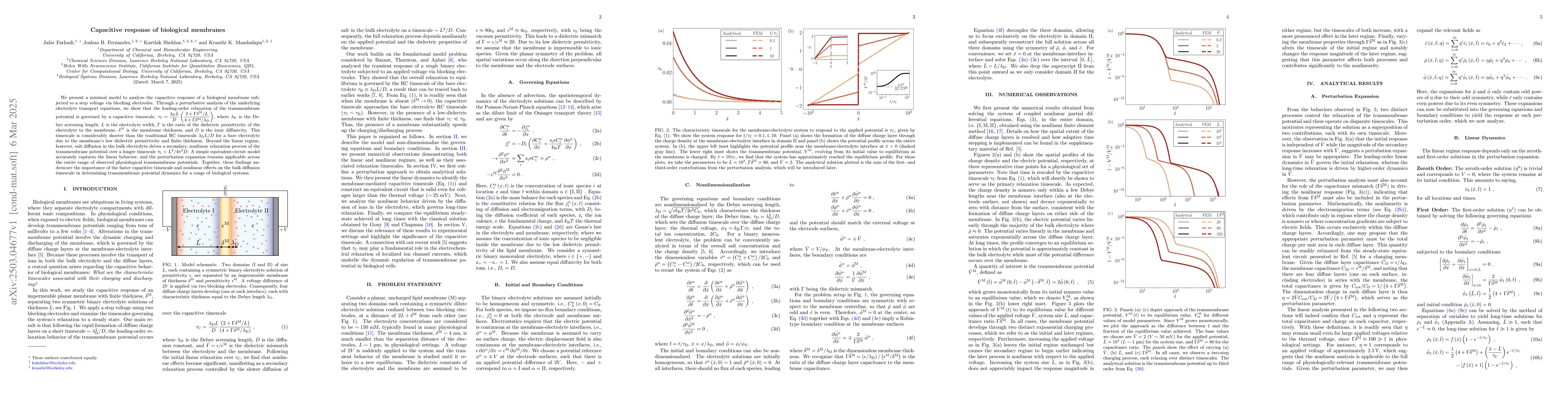 Thumbnail for Capacitive response of biological membranes