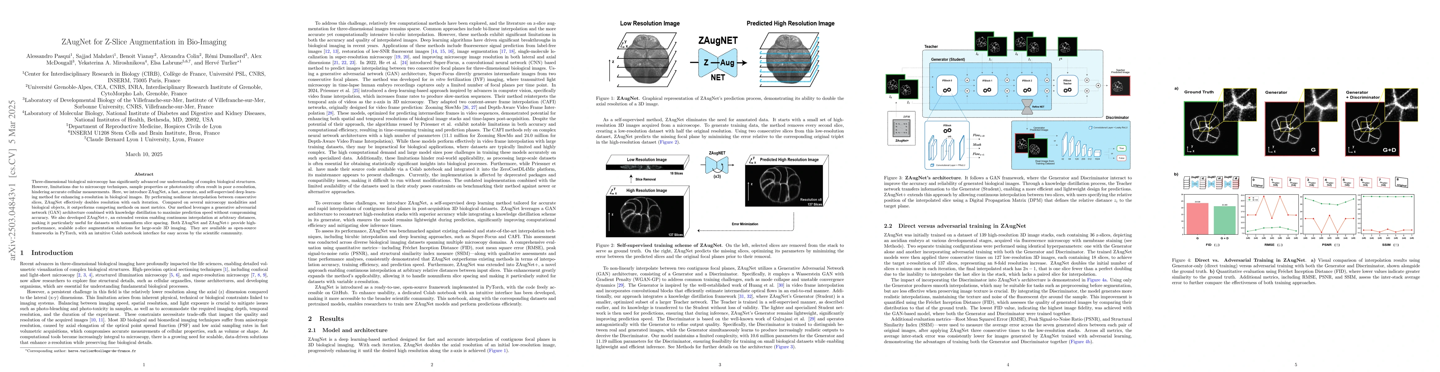 Thumbnail for ZAugNet for Z-Slice Augmentation in Bio-Imaging