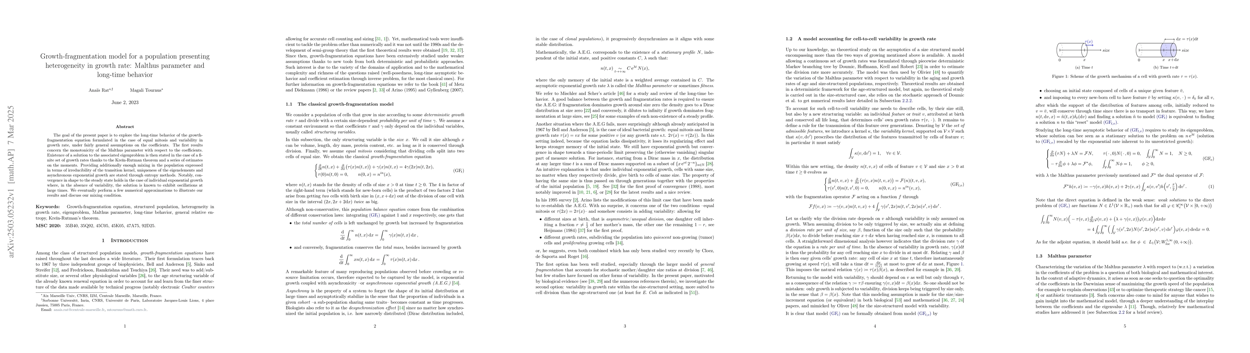 Thumbnail for Growth-fragmentation model for a population presenting heterogeneity in
  growth rate: Malthus parameter and long-time behavior