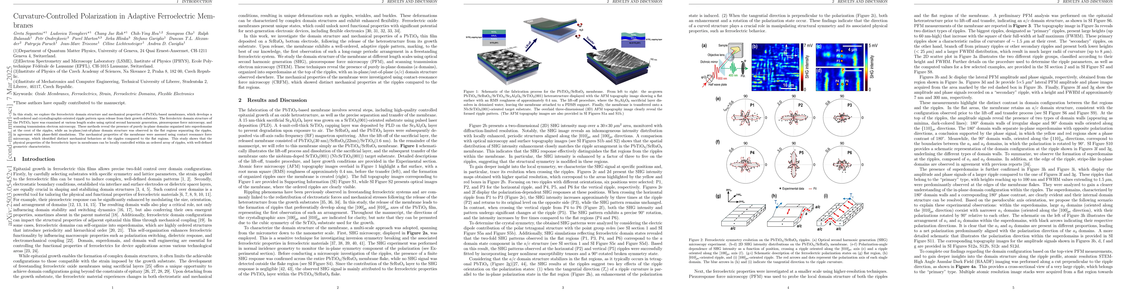 Thumbnail for Curvature-Controlled Polarization in Adaptive Ferroelectric Membranes
