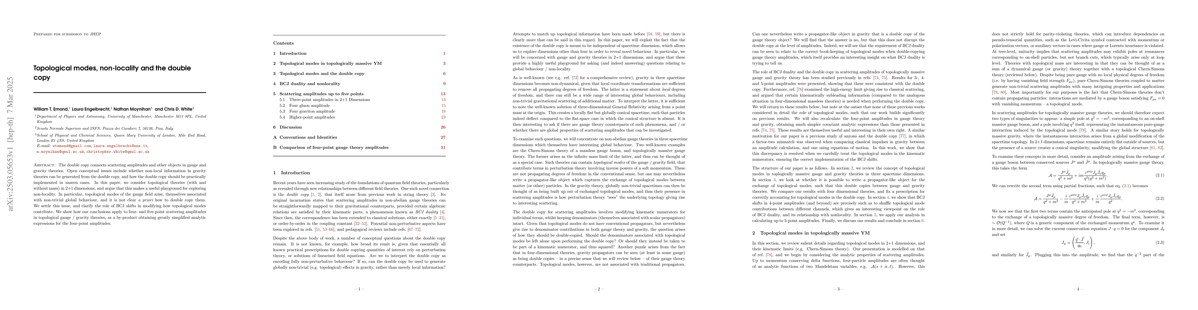 Thumbnail for Topological modes, non-locality and the double copy