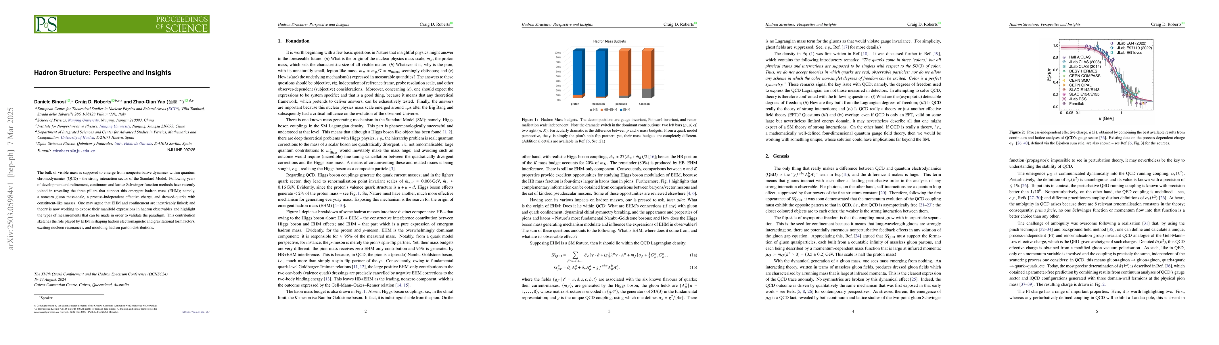 Thumbnail for Hadron Structure: Perspective and Insights