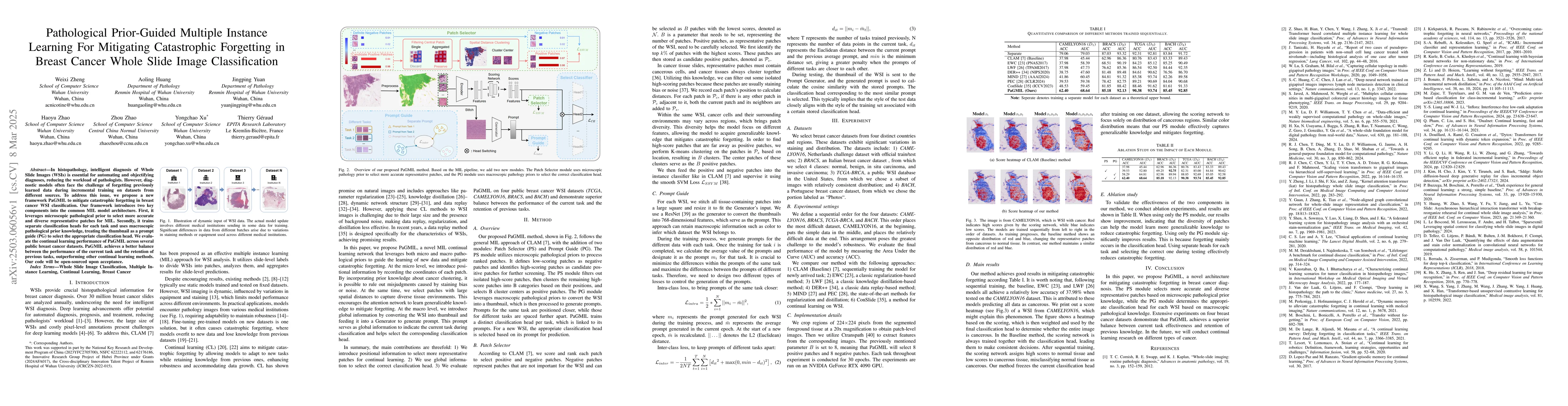 Thumbnail for Pathological Prior-Guided Multiple Instance Learning For Mitigating
  Catastrophic Forgetting in Breast Cancer Whole Slide Image Classification