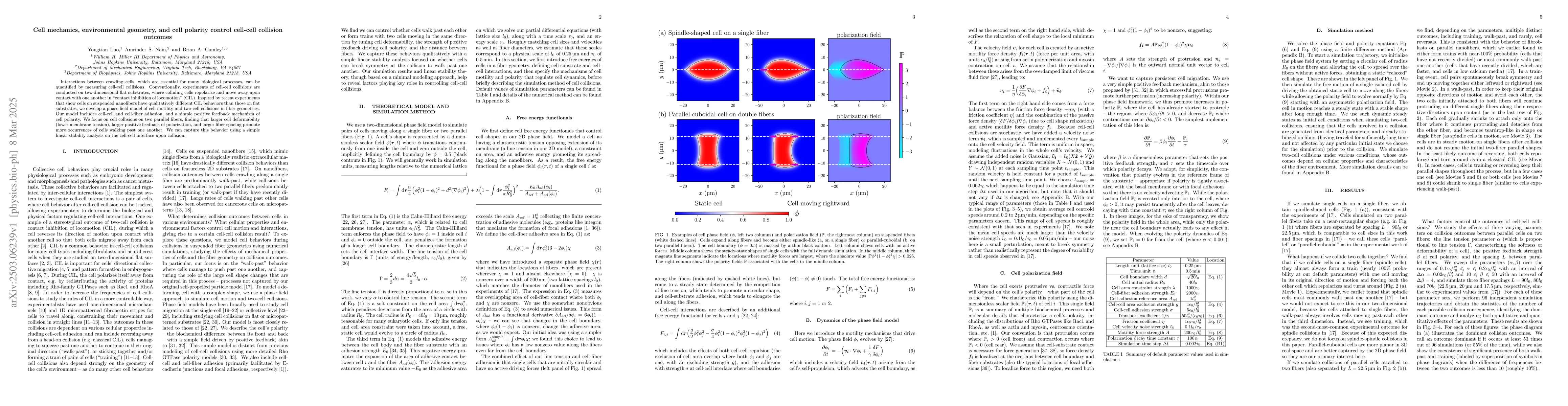 Thumbnail for Cell mechanics, environmental geometry, and cell polarity control
  cell-cell collision outcomes