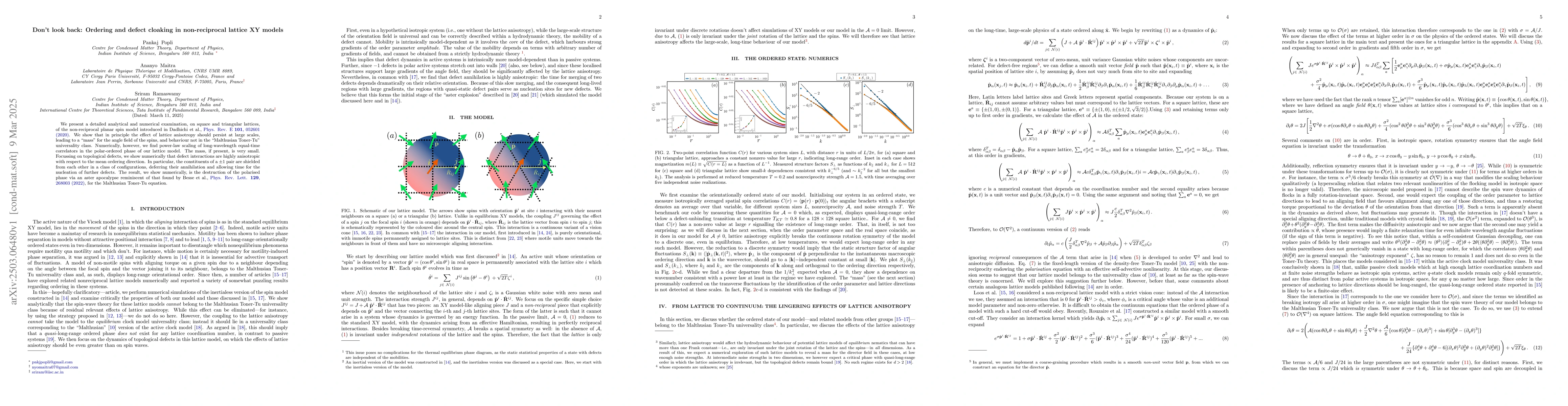 Thumbnail for Don't look back: Ordering and defect cloaking in non-reciprocal lattice
  XY models