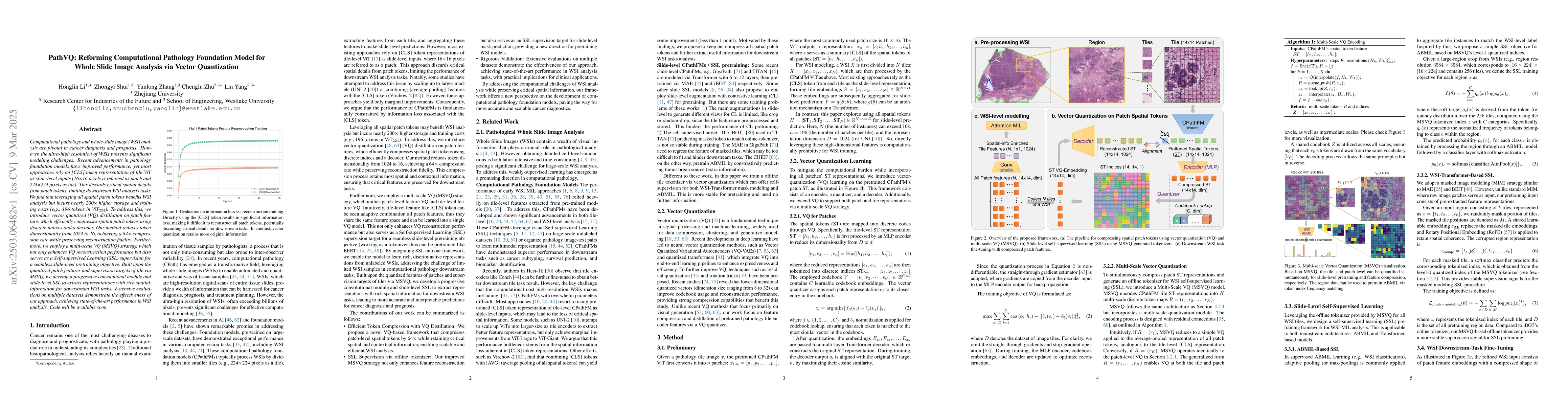Thumbnail for PathVQ: Reforming Computational Pathology Foundation Model for Whole
  Slide Image Analysis via Vector Quantization