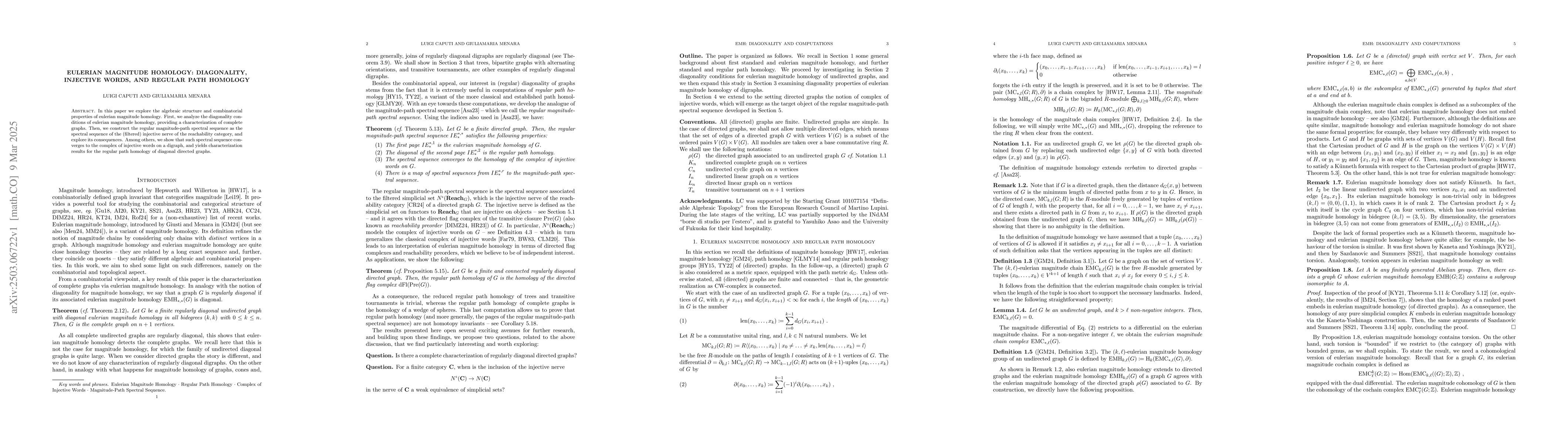 Thumbnail for Eulerian magnitude homology: diagonality, injective words, and regular
  path homology