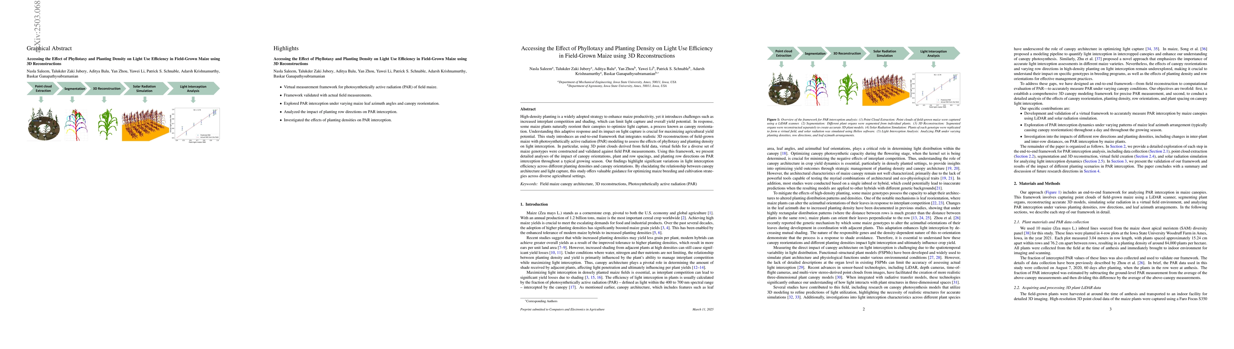 Thumbnail for Accessing the Effect of Phyllotaxy and Planting Density on Light Use
  Efficiency in Field-Grown Maize using 3D Reconstructions