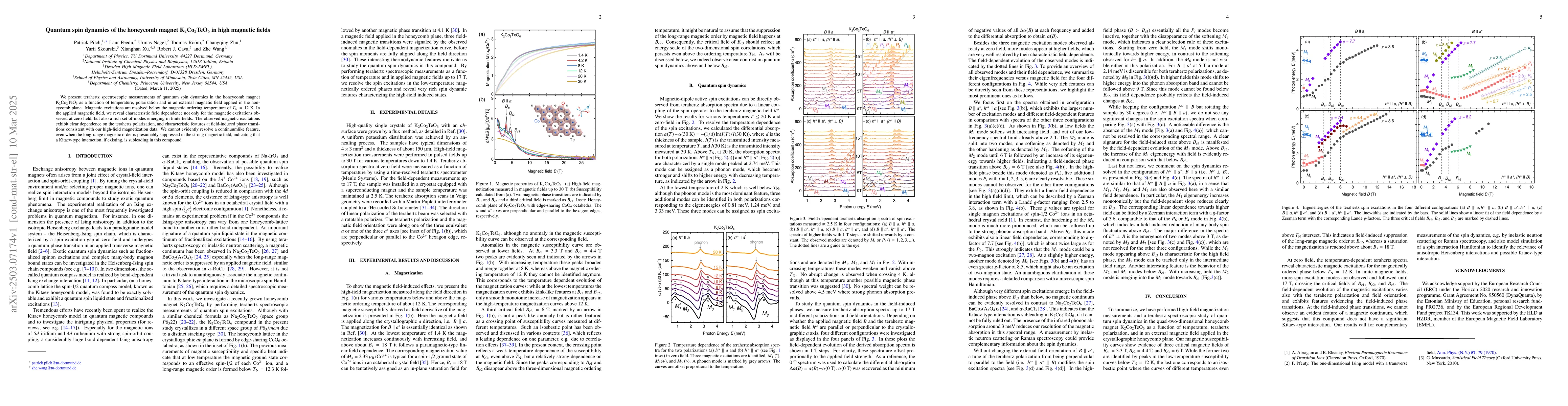 Thumbnail for Quantum spin dynamics of the honeycomb magnet K$_2$Co$_2$TeO$_6$ in high
  magnetic fields