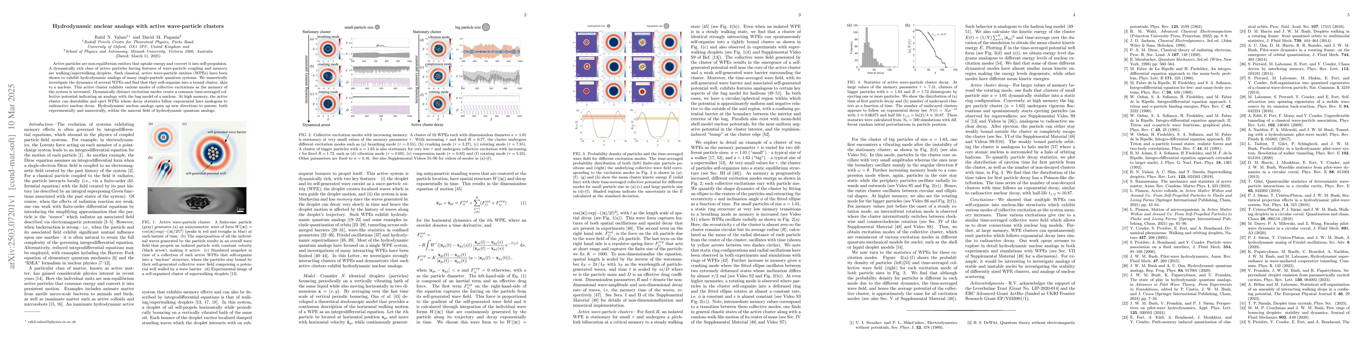 Thumbnail for Hydrodynamic nuclear analogs with active wave-particle clusters