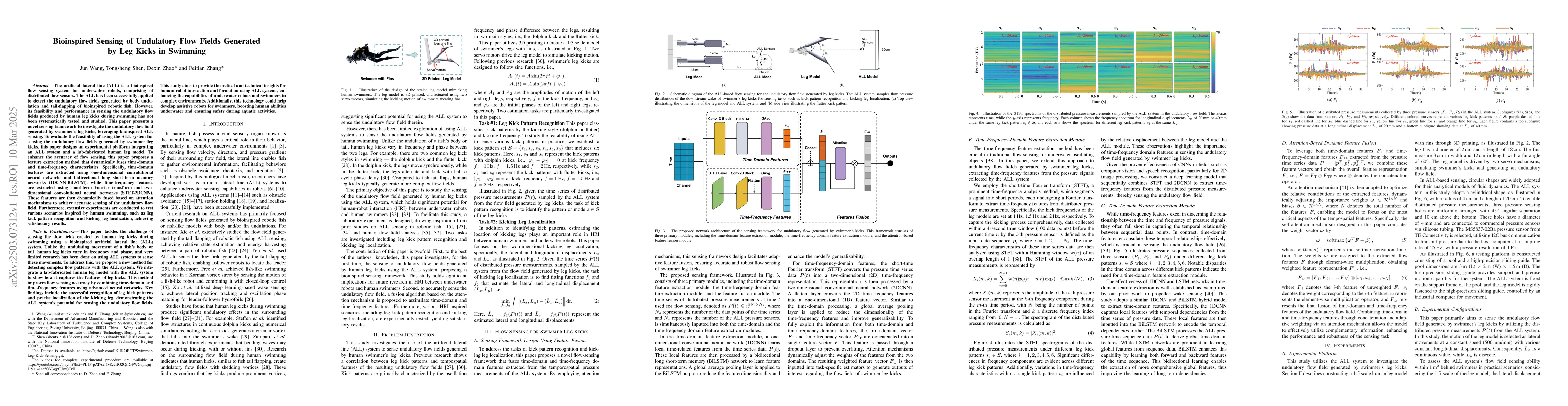 Thumbnail for Bioinspired Sensing of Undulatory Flow Fields Generated by Leg Kicks in
  Swimming