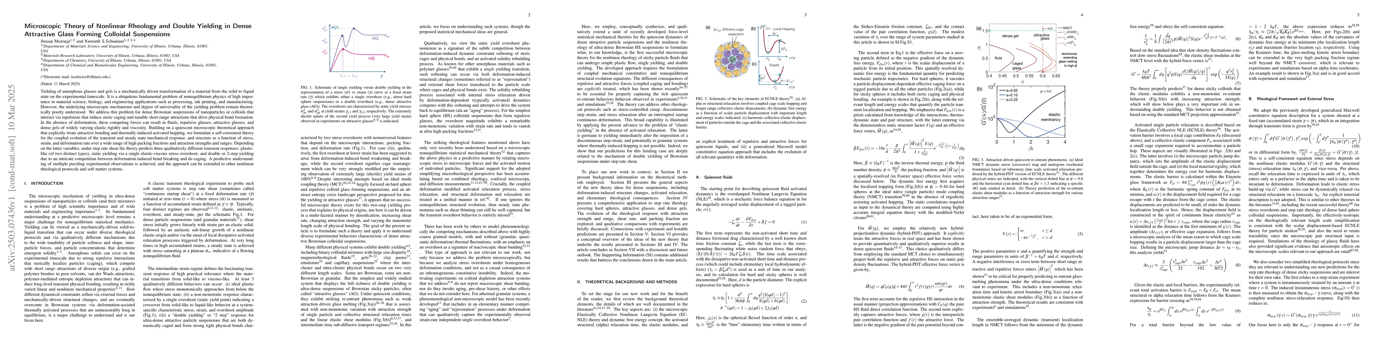 Thumbnail for Microscopic Theory of Nonlinear Rheology and Double Yielding in Dense
  Attractive Glass Forming Colloidal Suspensions