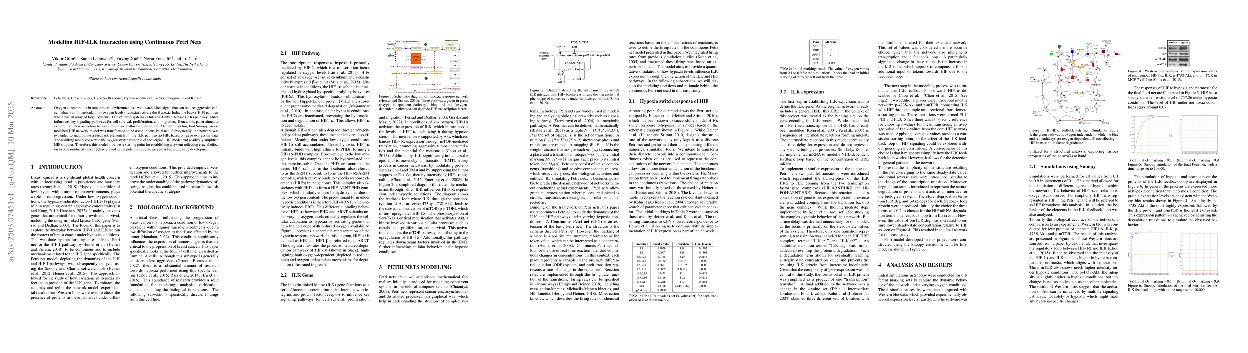 Thumbnail for Modeling HIF-ILK Interaction Using Continuous Petri Nets