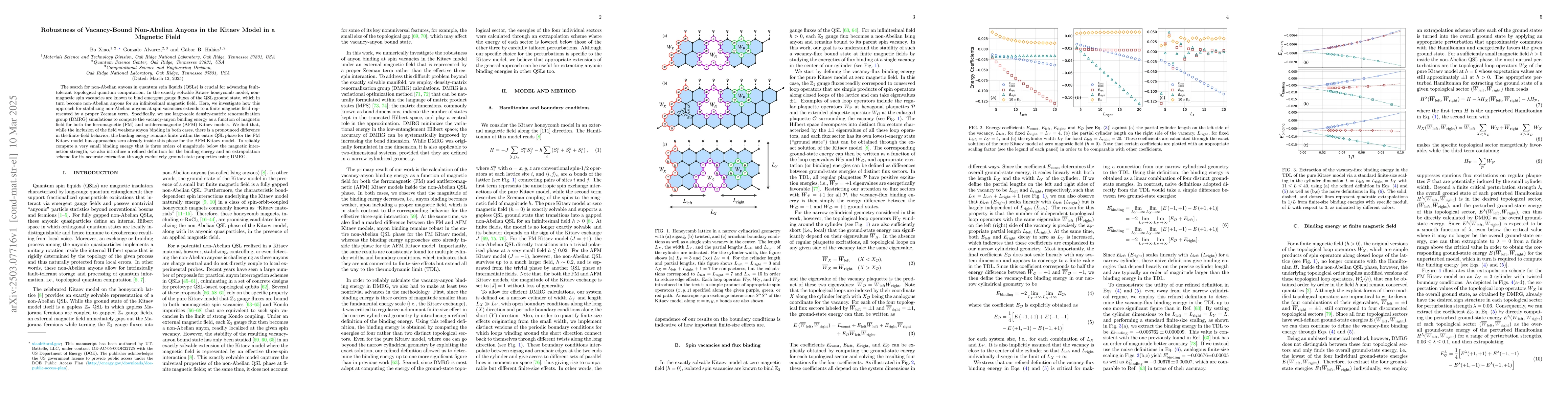Thumbnail for Robustness of Vacancy-Bound Non-Abelian Anyons in the Kitaev Model in a
  Magnetic Field