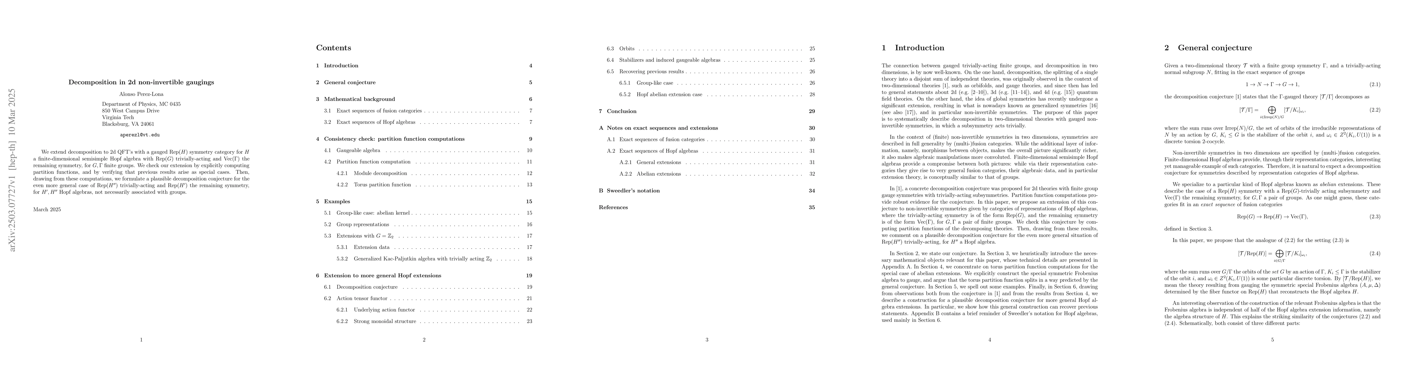 Thumbnail for Decomposition in 2d non-invertible gaugings