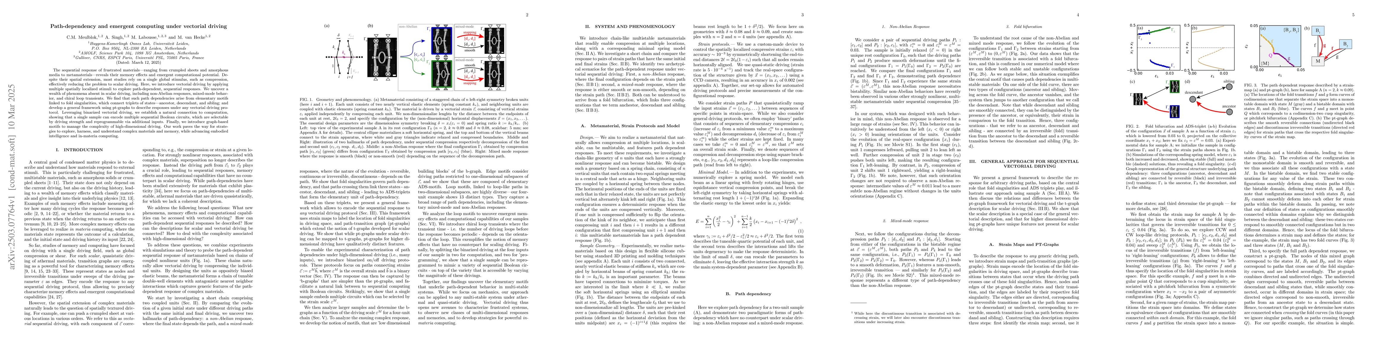 Thumbnail for Path-dependency and emergent computing under vectorial driving