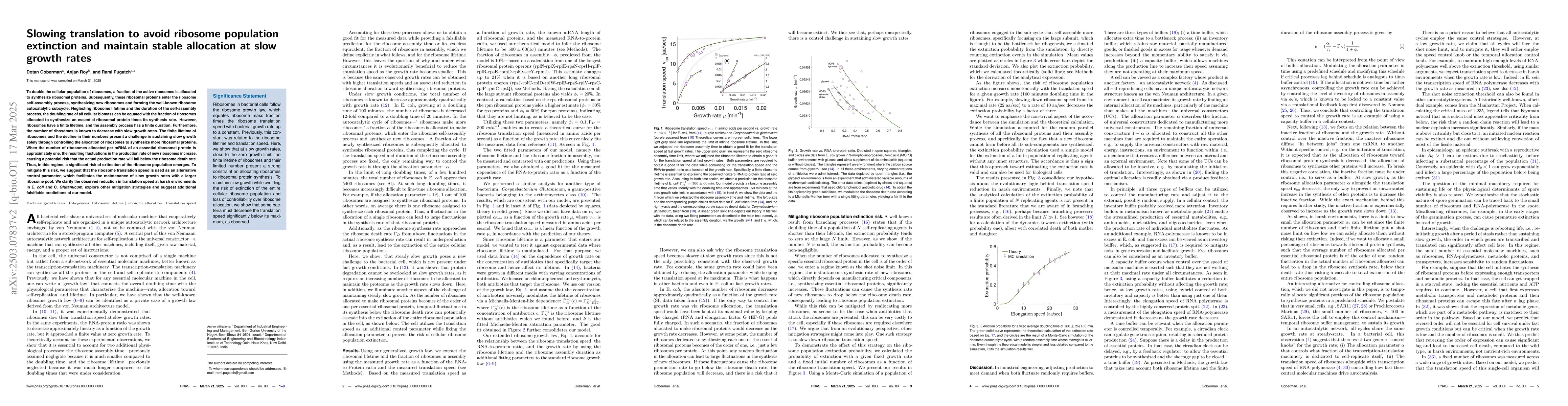 Thumbnail for Slowing translation to avoid ribosome population extinction and maintain
  stable allocation at slow growth rates
