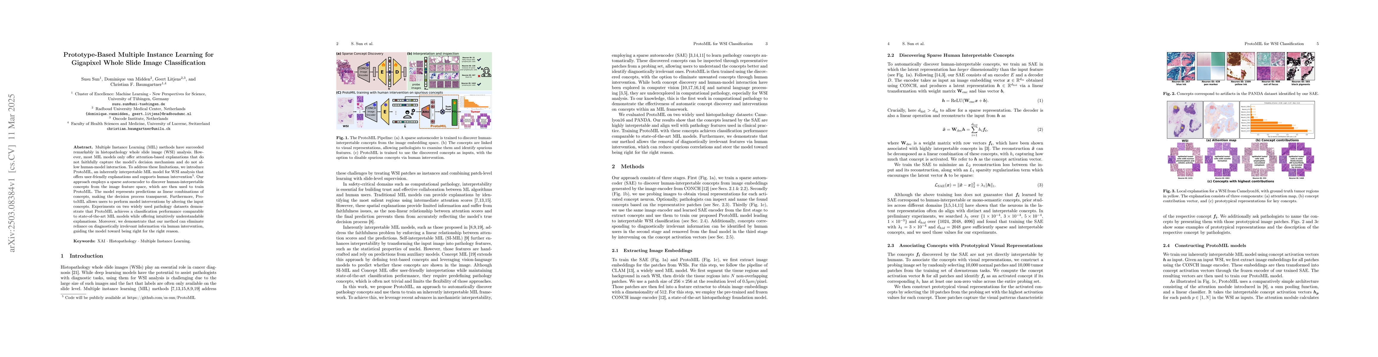 Thumbnail for Prototype-Based Multiple Instance Learning for Gigapixel Whole Slide
  Image Classification