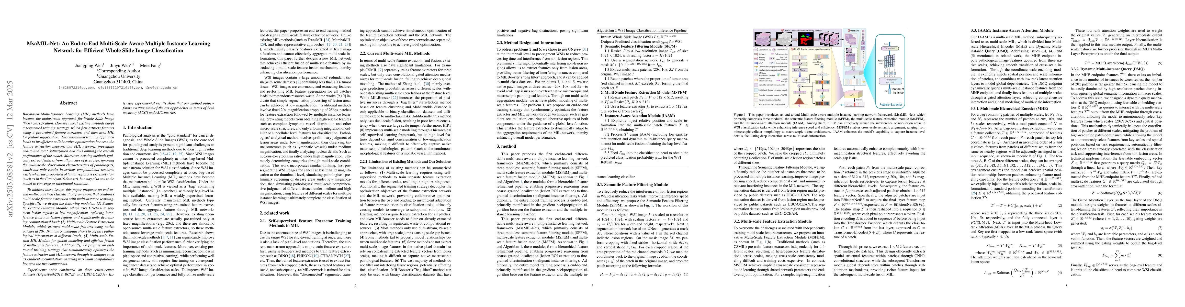 Thumbnail for MsaMIL-Net: An End-to-End Multi-Scale Aware Multiple Instance Learning
  Network for Efficient Whole Slide Image Classification