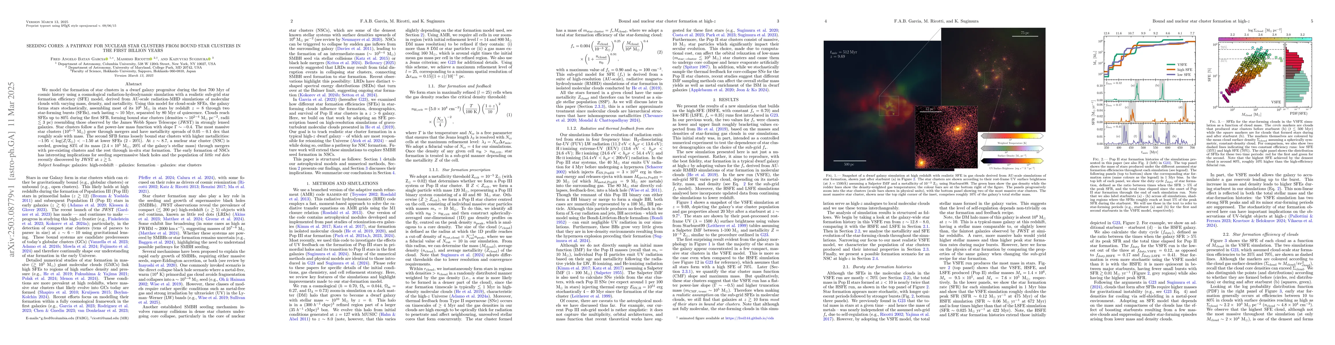 Thumbnail for Seeding Cores: A Pathway for Nuclear Star Clusters from Bound Star
  Clusters in the First Billion Years