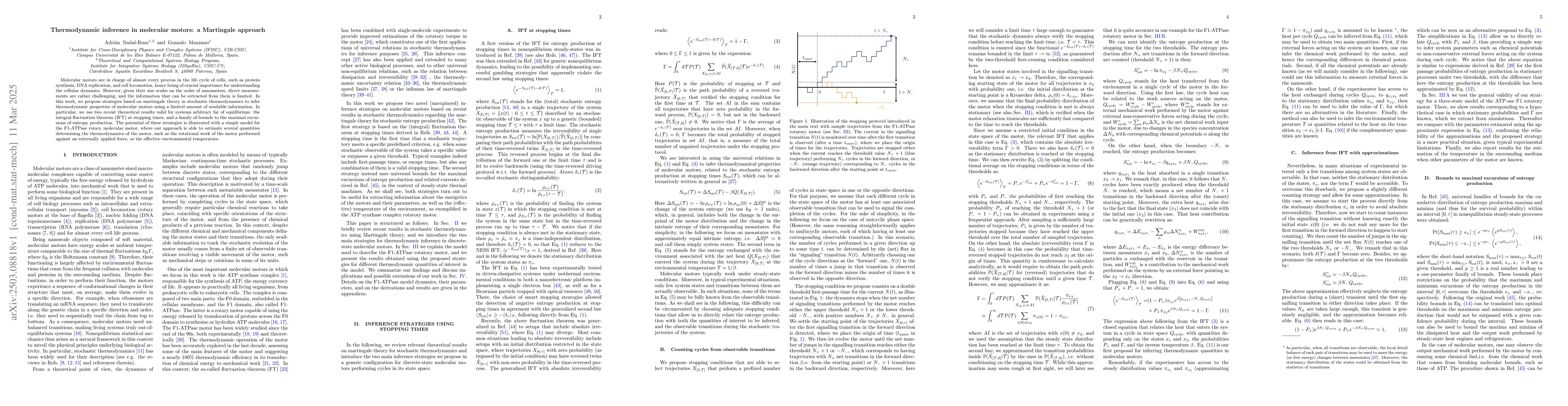 Thumbnail for Thermodynamic inference in molecular motors: a Martingale approach