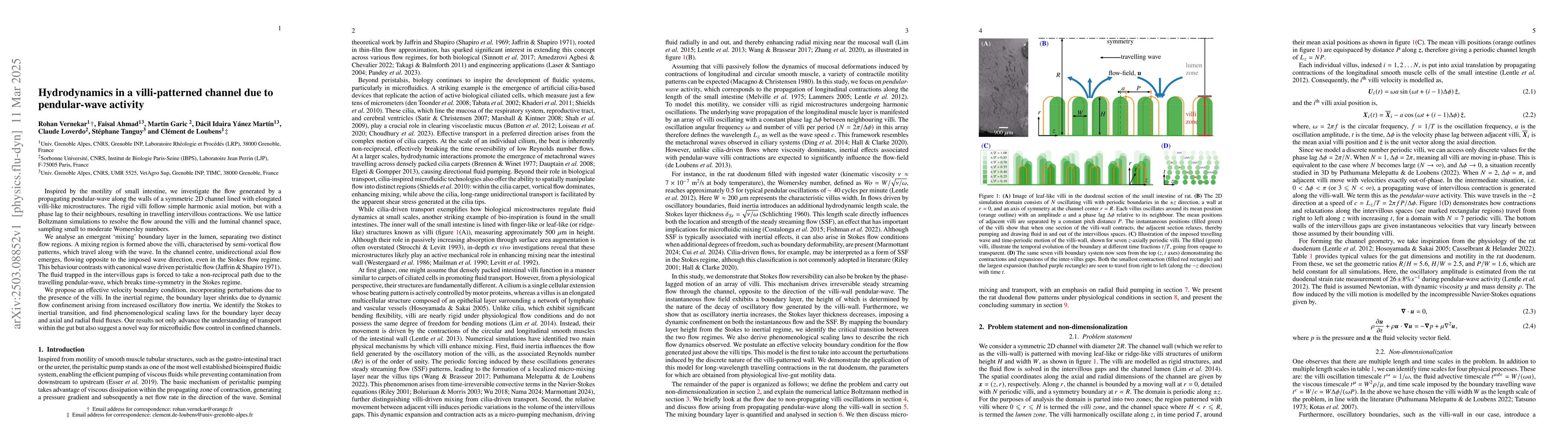 Thumbnail for Hydrodynamics in a villi-patterned channel due to pendular-wave activity