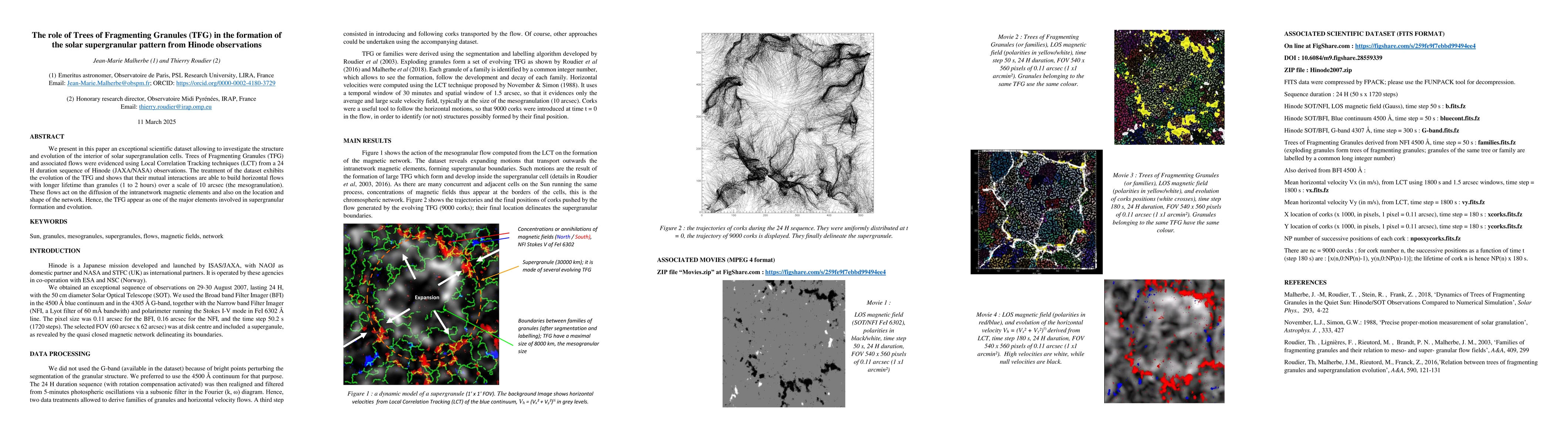 Thumbnail for The role of Trees of Fragmenting Granules (TFG) in the formation of the
  solar supergranular pattern from Hinode observations