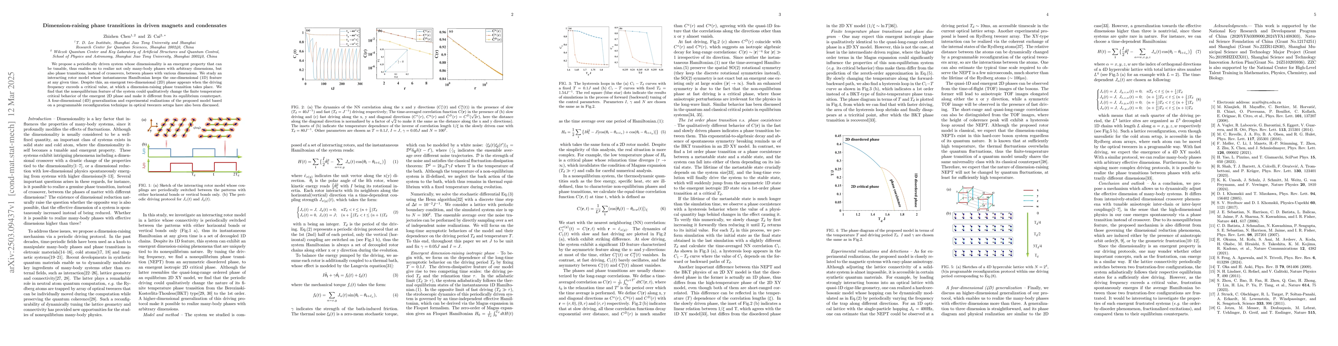 Thumbnail for Dimension-raising phase transitions in driven magnets and condensates
