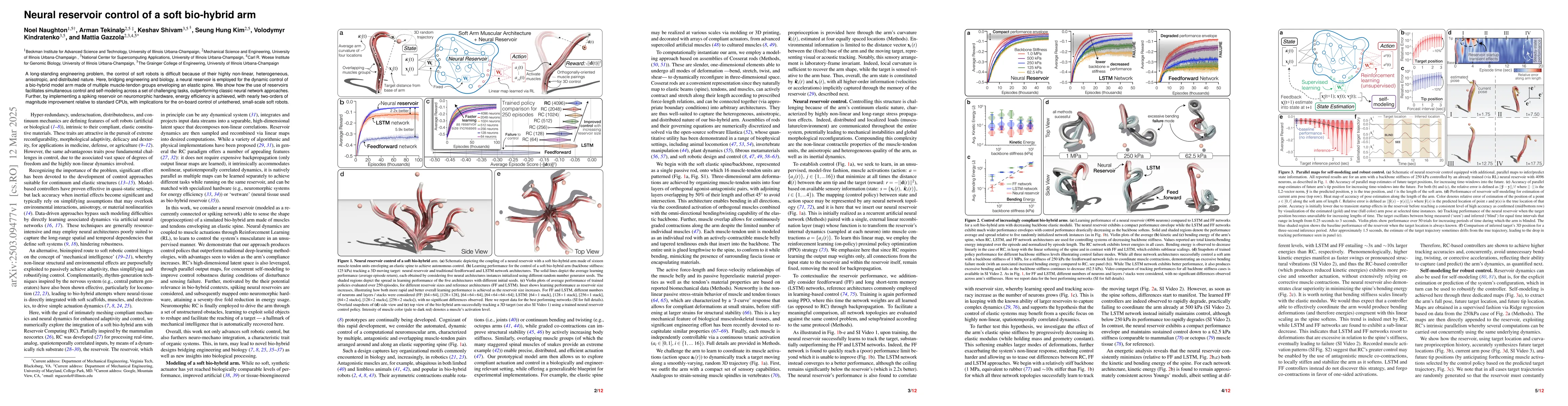 Thumbnail for Neural reservoir control of a soft bio-hybrid arm