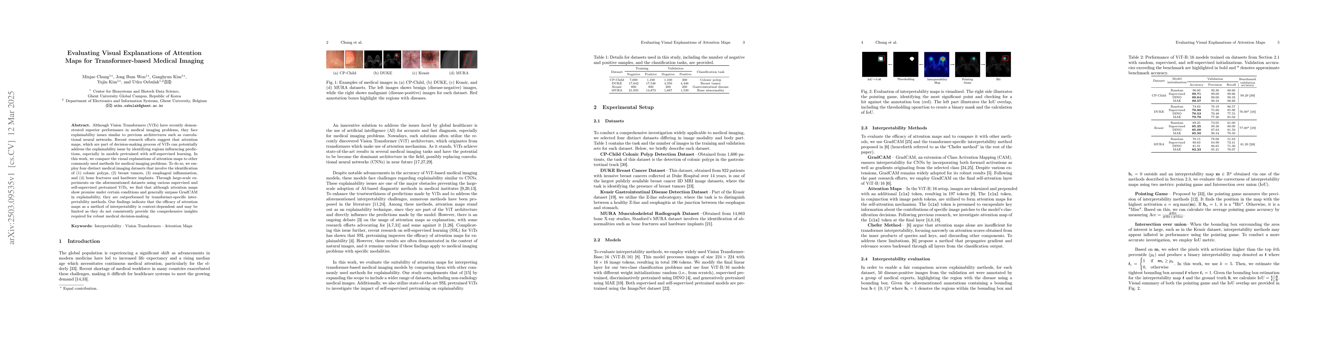 Thumbnail for Evaluating Visual Explanations of Attention Maps for Transformer-based
  Medical Imaging