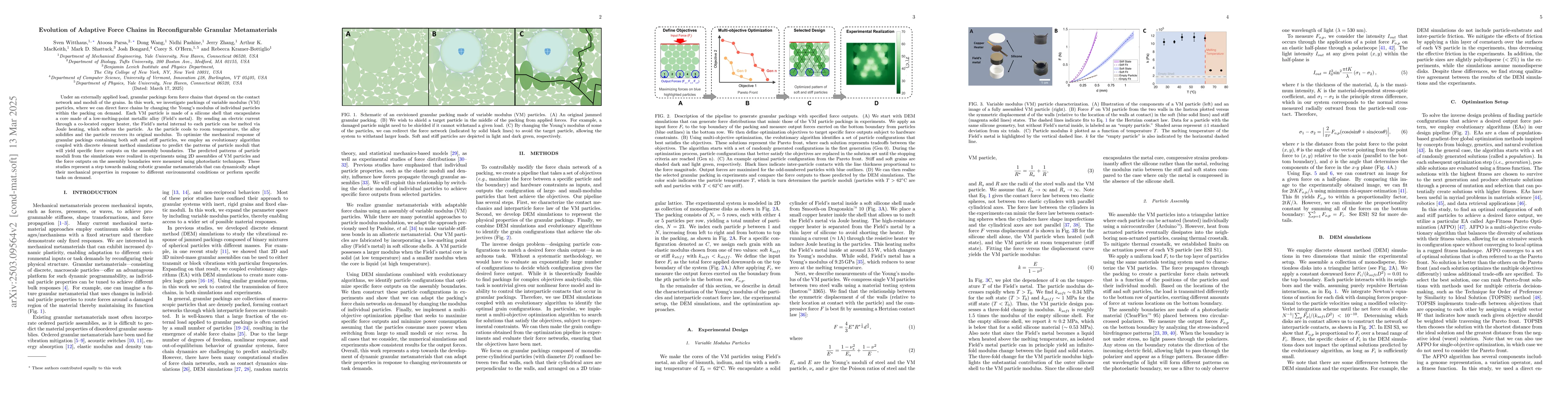 Thumbnail for Evolution of Adaptive Force Chains in Reconfigurable Granular
  Metamaterials