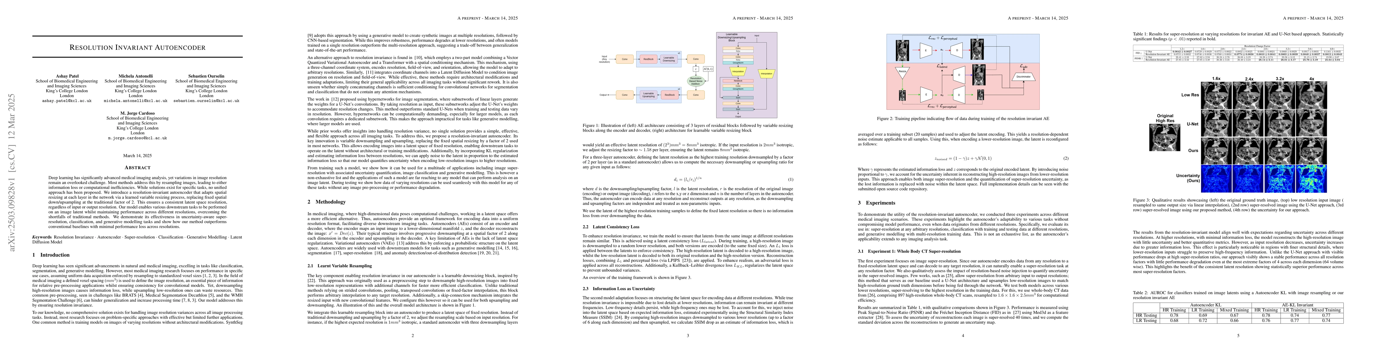Thumbnail for Resolution Invariant Autoencoder