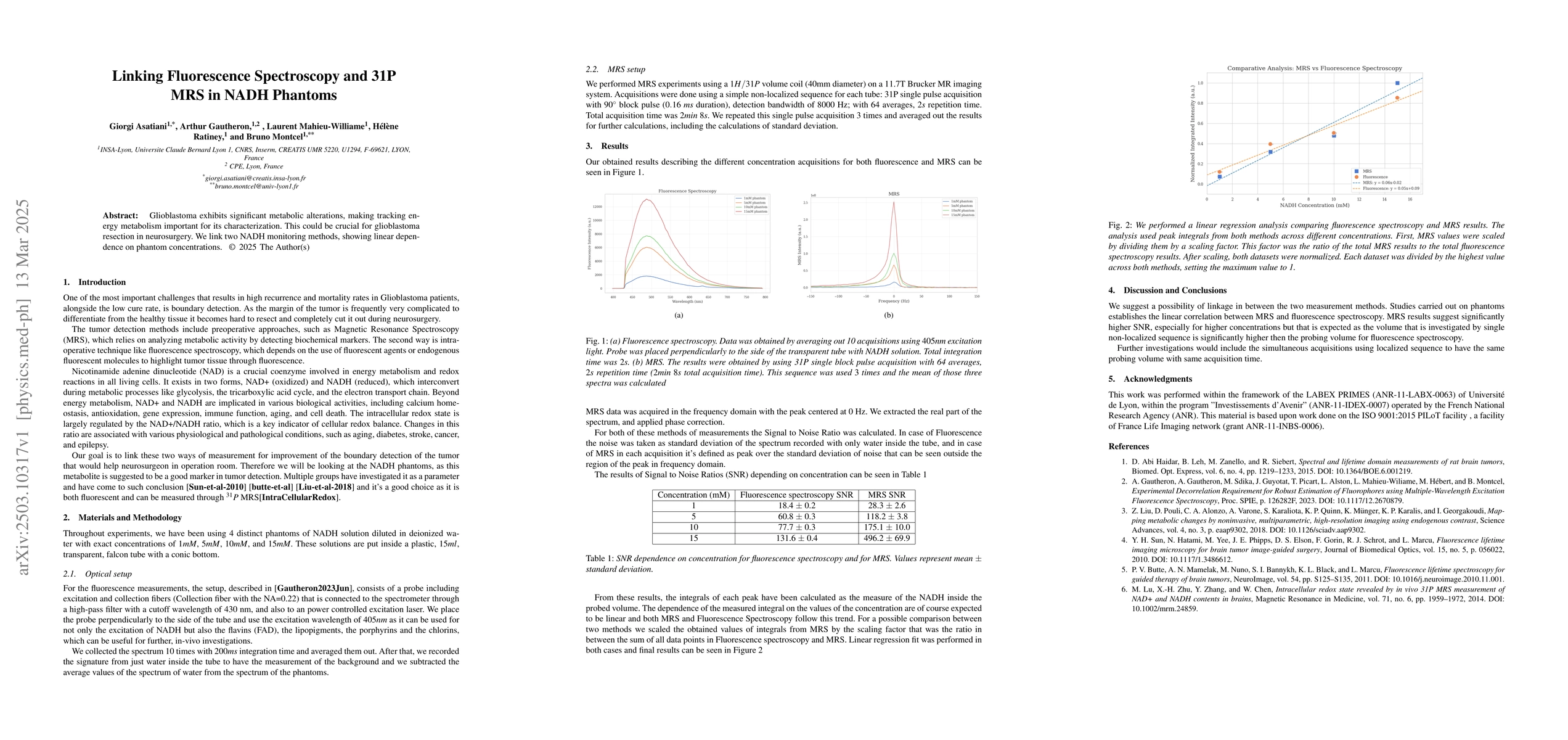 Thumbnail for Linking Fluorescence Spectroscopy and 31P MRS in NADH Phantoms