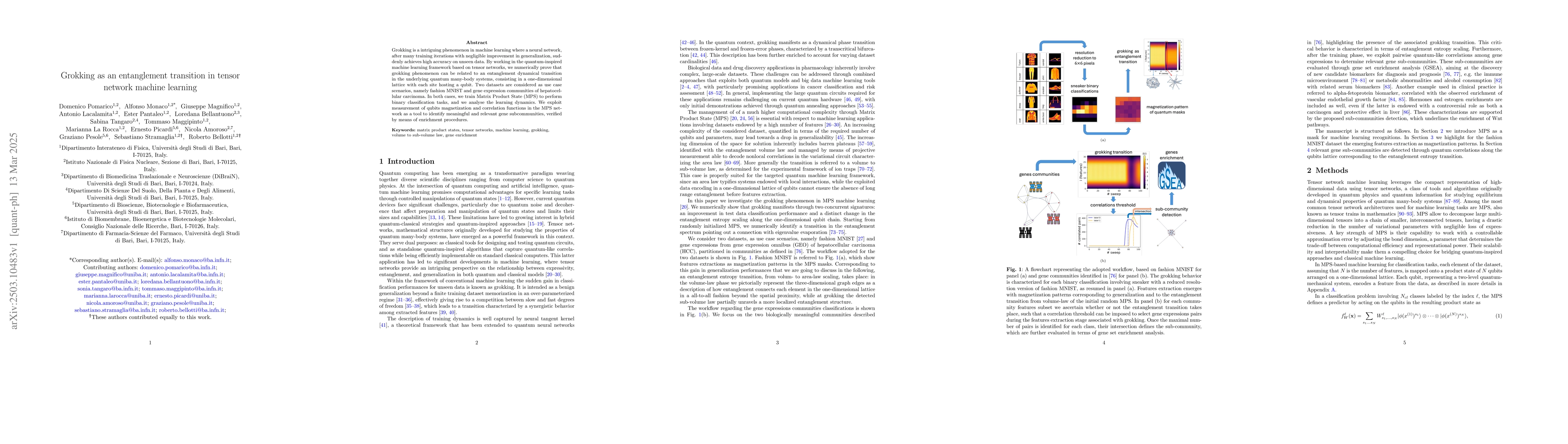 Thumbnail for Grokking as an entanglement transition in tensor network machine
  learning