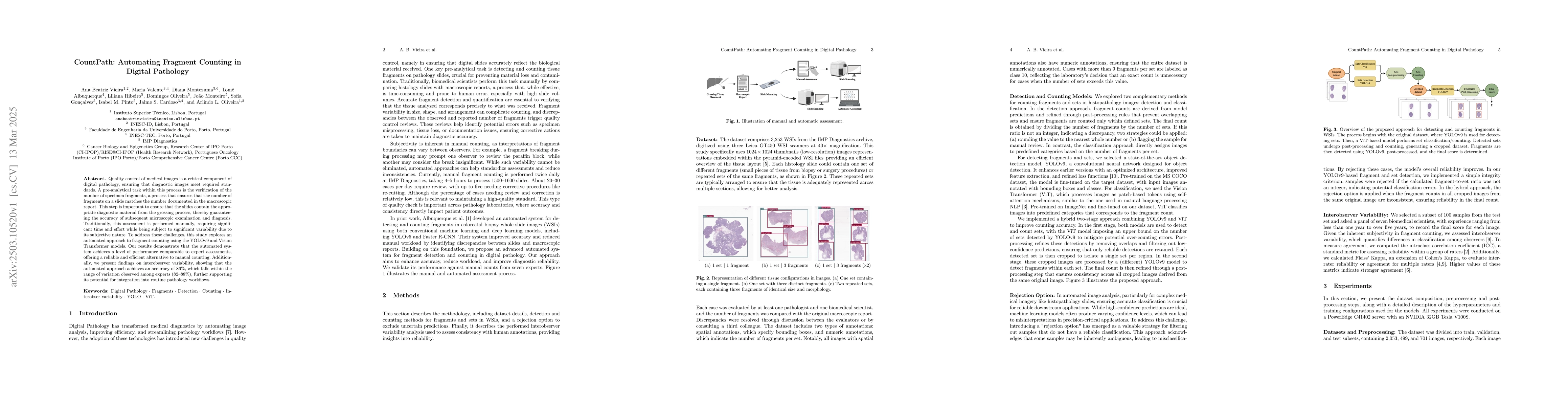 Thumbnail for CountPath: Automating Fragment Counting in Digital Pathology