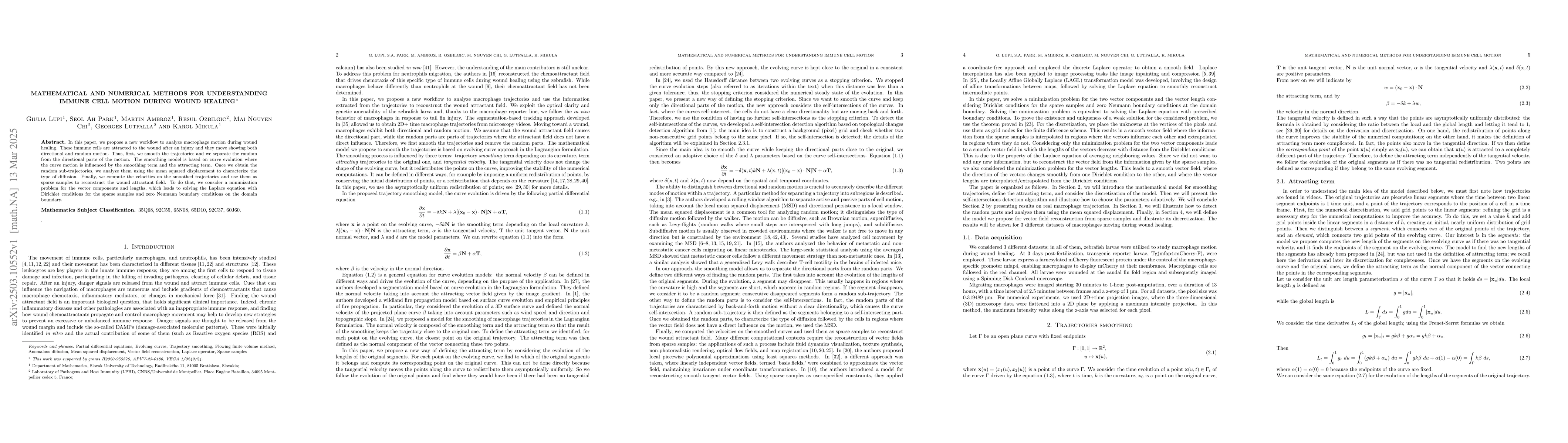 Thumbnail for Mathematical and numerical methods for understanding immune cell motion
  during wound healing