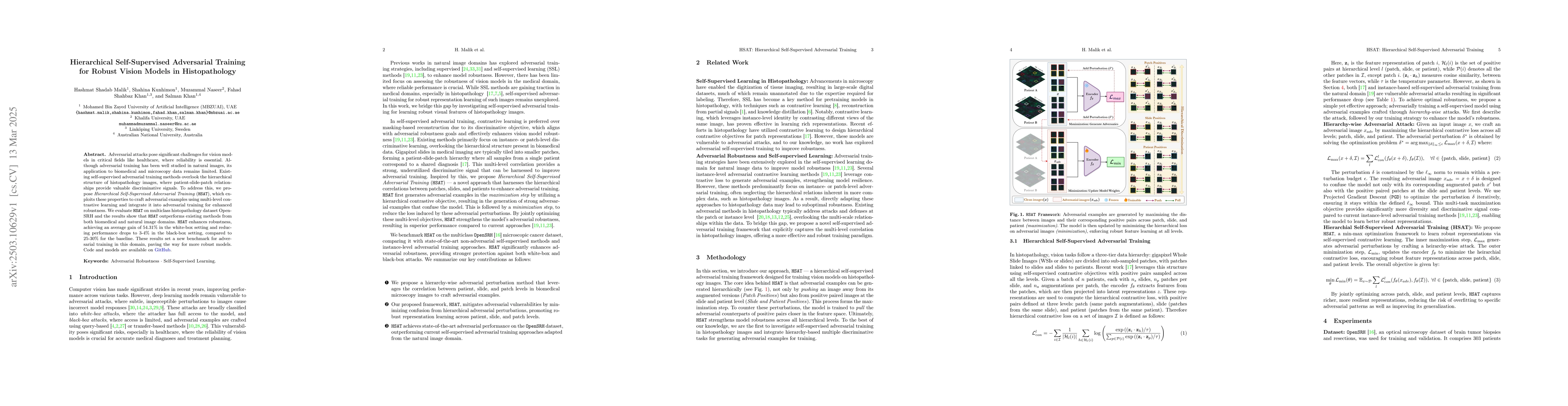 Thumbnail for Hierarchical Self-Supervised Adversarial Training for Robust Vision
  Models in Histopathology