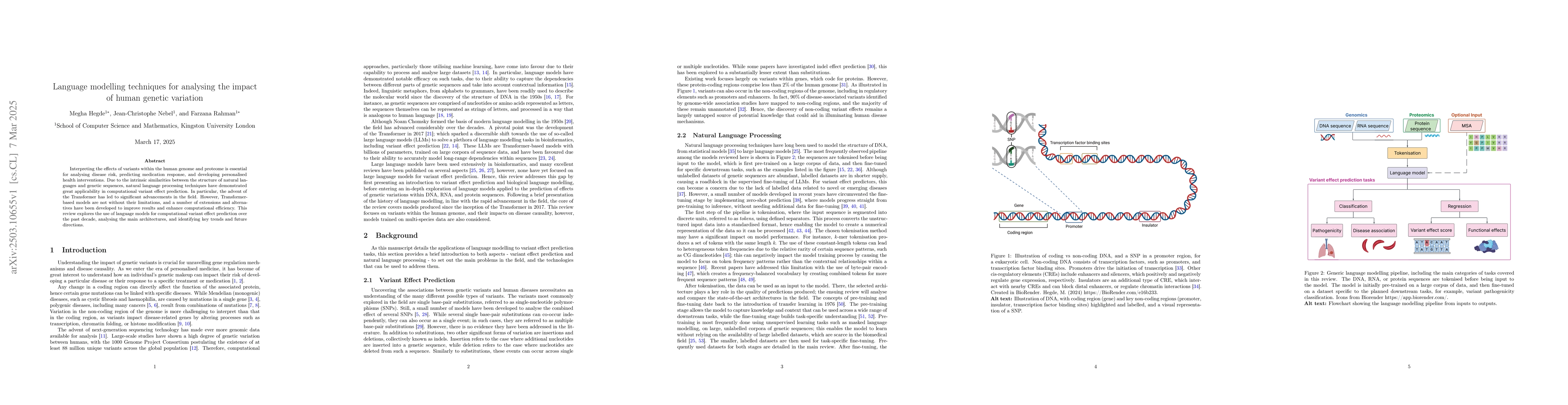 Thumbnail for Language modelling techniques for analysing the impact of human genetic
  variation