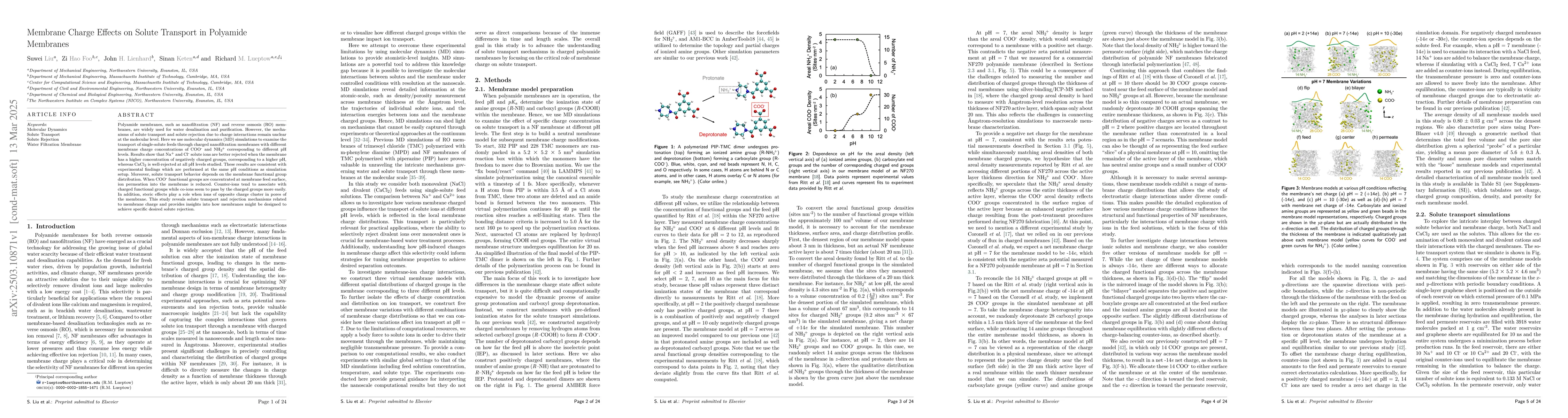 Thumbnail for Membrane Charge Effects on Solute Transport in Polyamide Membranes