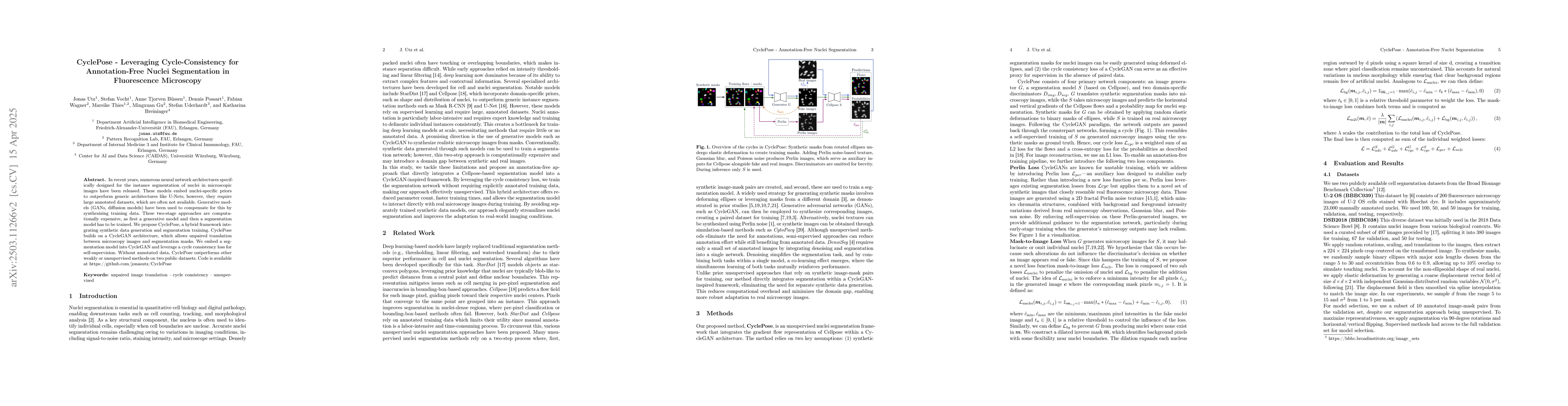 Thumbnail for CyclePose -- Leveraging Cycle-Consistency for Annotation-Free Nuclei
  Segmentation in Fluorescence Microscopy