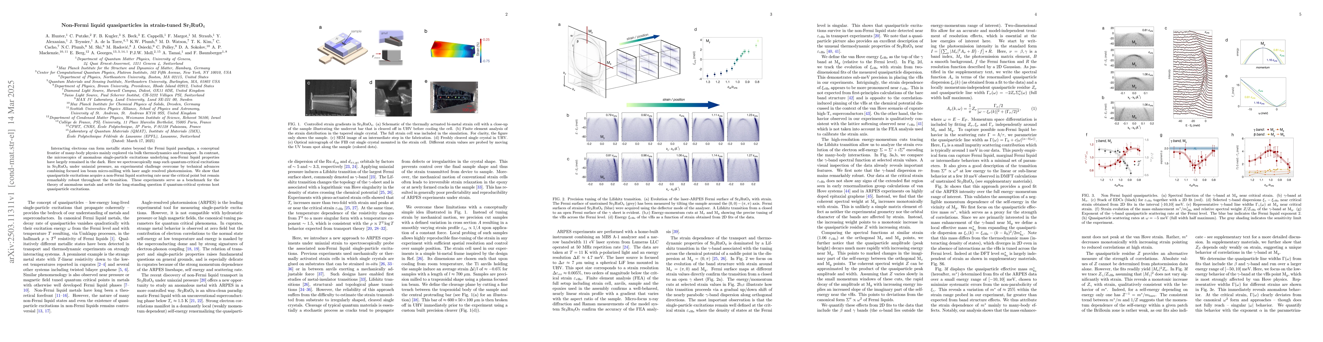 Thumbnail for Non-Fermi liquid quasiparticles in strain-tuned Sr2RuO4
