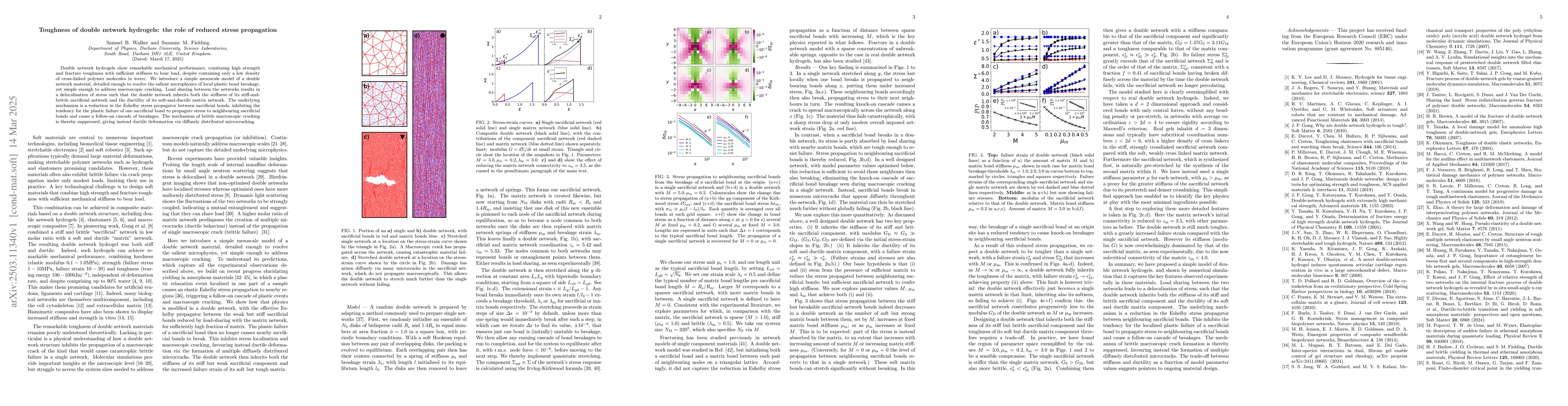Thumbnail for Toughness of double network hydrogels: the role of reduced stress
  propagation