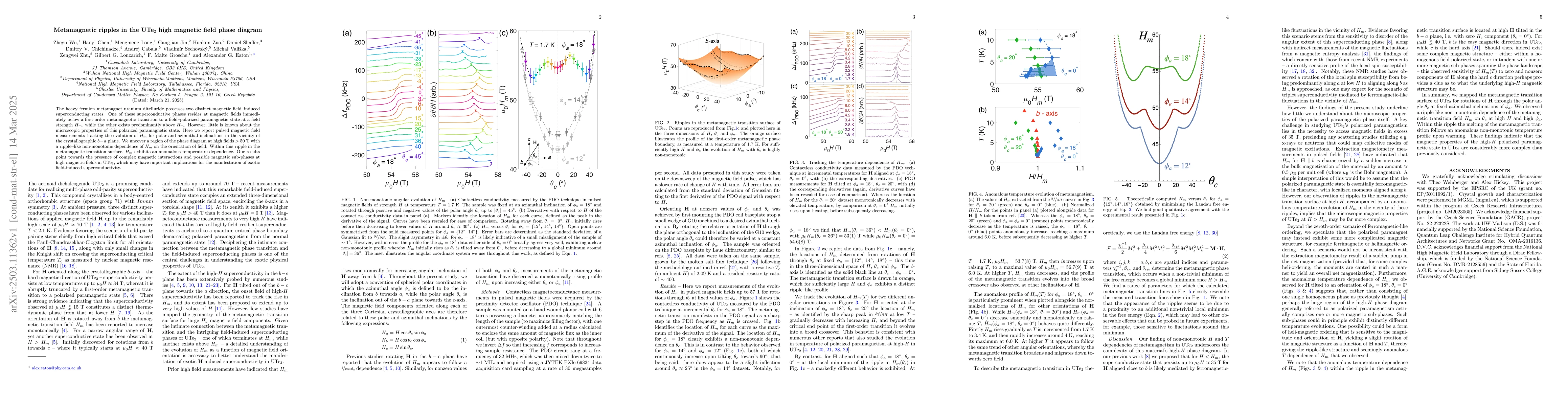 Thumbnail for Metamagnetic ripples in the UTe2 high magnetic field phase diagram
