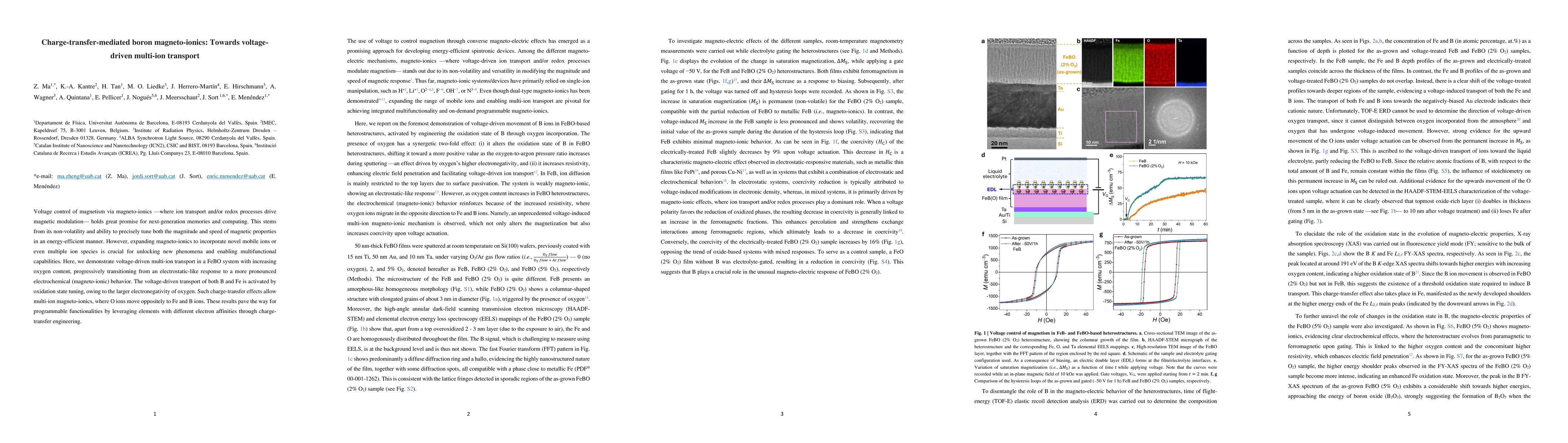 Thumbnail for Charge-transfer-mediated boron magneto-ionics: Towards voltage-driven
  multi-ion transport
