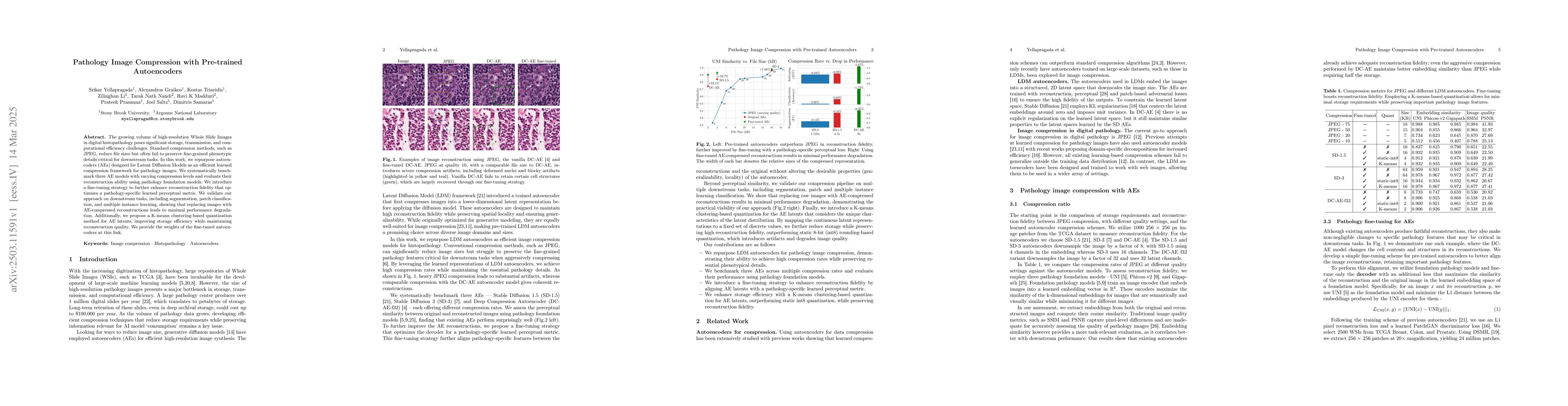 Thumbnail for Pathology Image Compression with Pre-trained Autoencoders