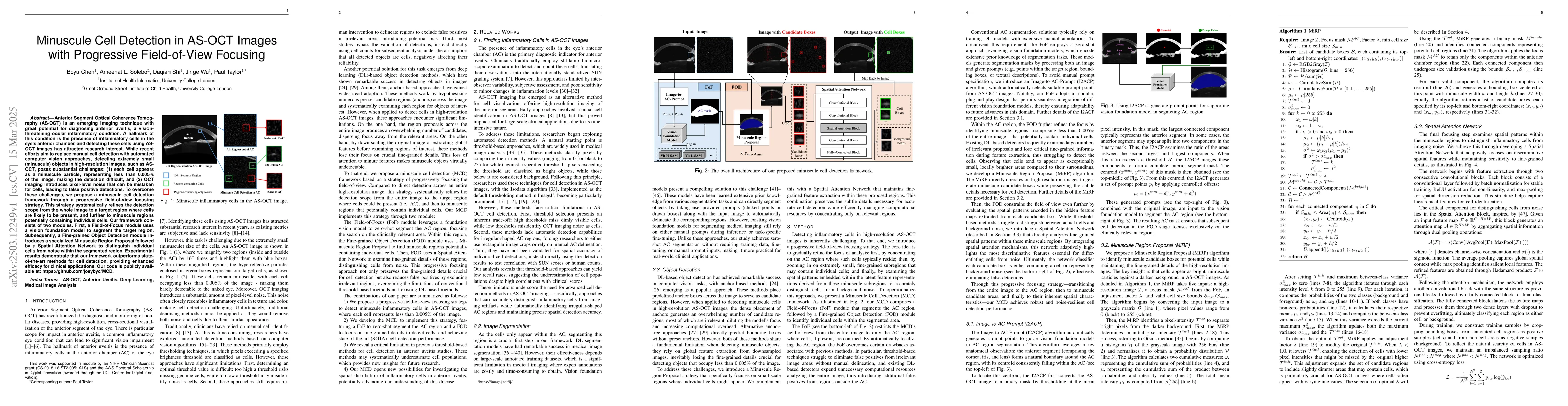 Thumbnail for Minuscule Cell Detection in AS-OCT Images with Progressive Field-of-View
  Focusing