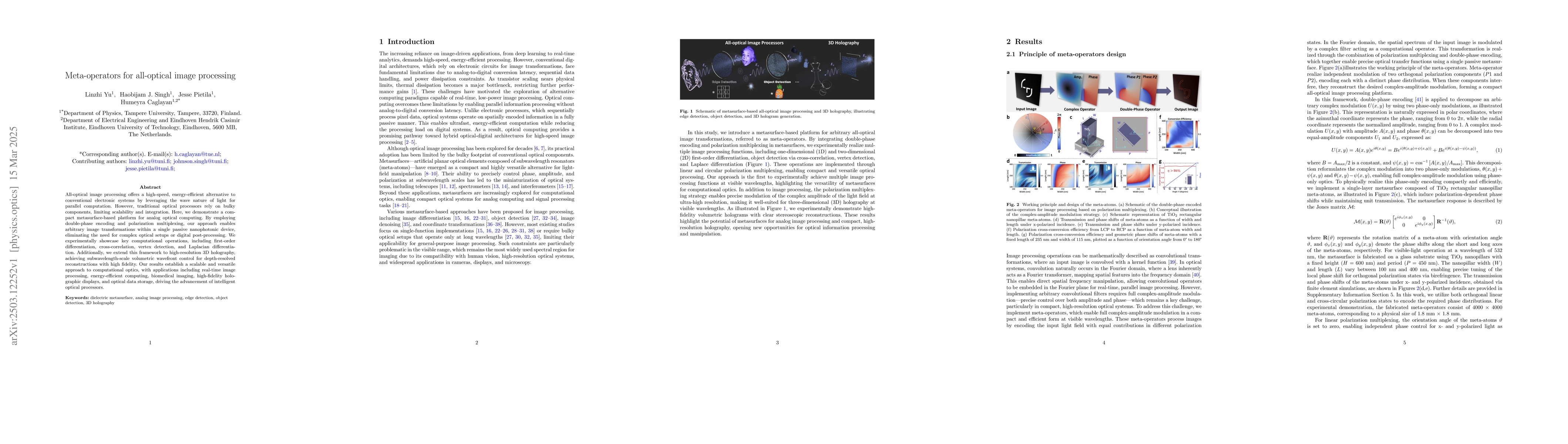 Thumbnail for Meta-operators for all-optical image processing