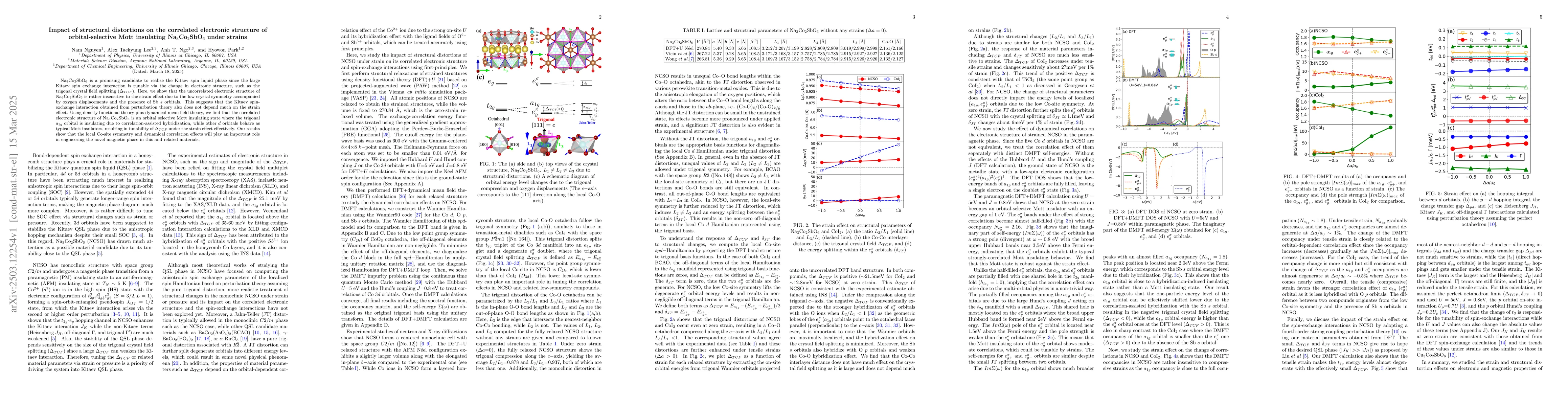 Thumbnail for Impact of structural distortions on the correlated electronic structure
  of orbital-selective Mott insulating Na$_3$Co$_2$SbO$_6$ under strains