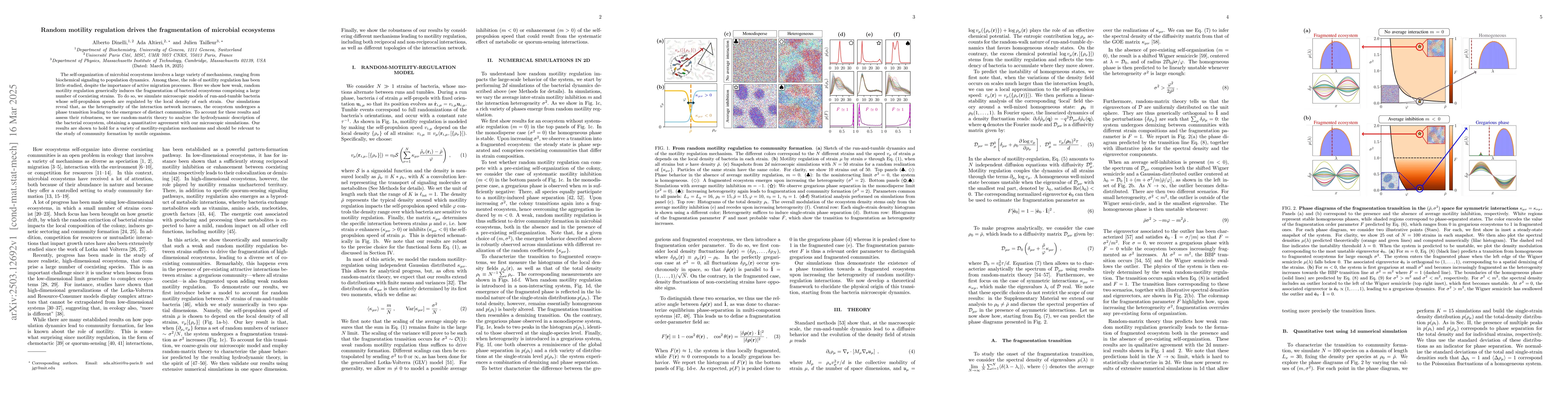 Thumbnail for Random motility regulation drives the fragmentation of microbial
  ecosystems